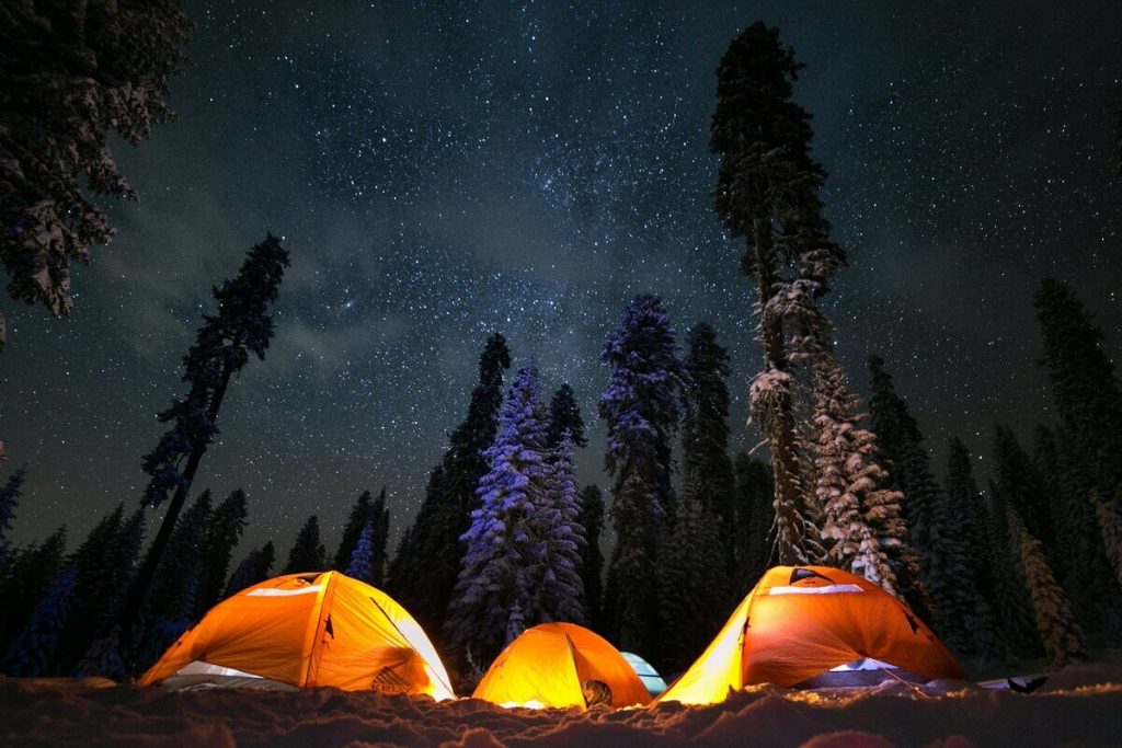 A Weekend of Wildlife & Family Fun With Hoseasons 